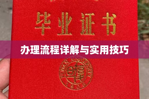 黄南办理流程详解与实用技巧