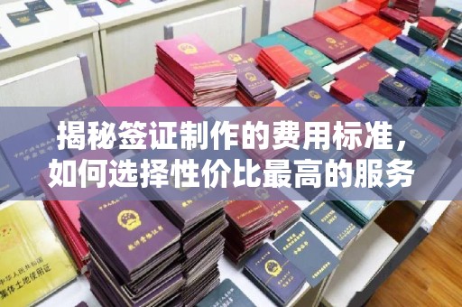 黄南揭秘签证制作的费用标准，如何选择性价比最高的服务？